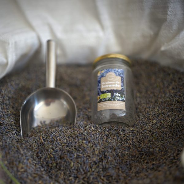 Fleurs de lavande en vrac