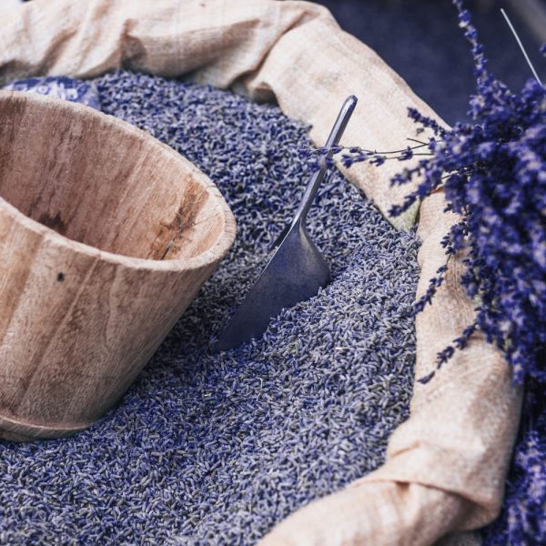 Fleurs de lavandin en vrac (1)